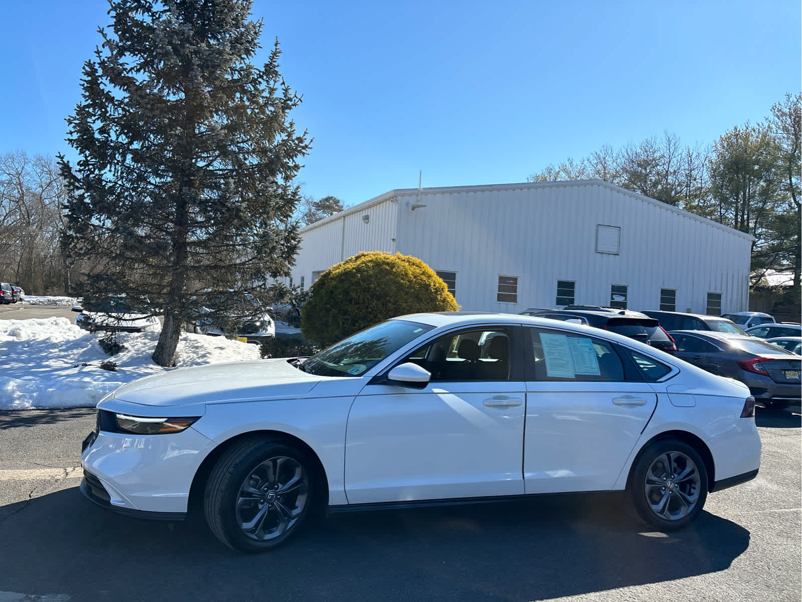 2023 Honda Accord EX