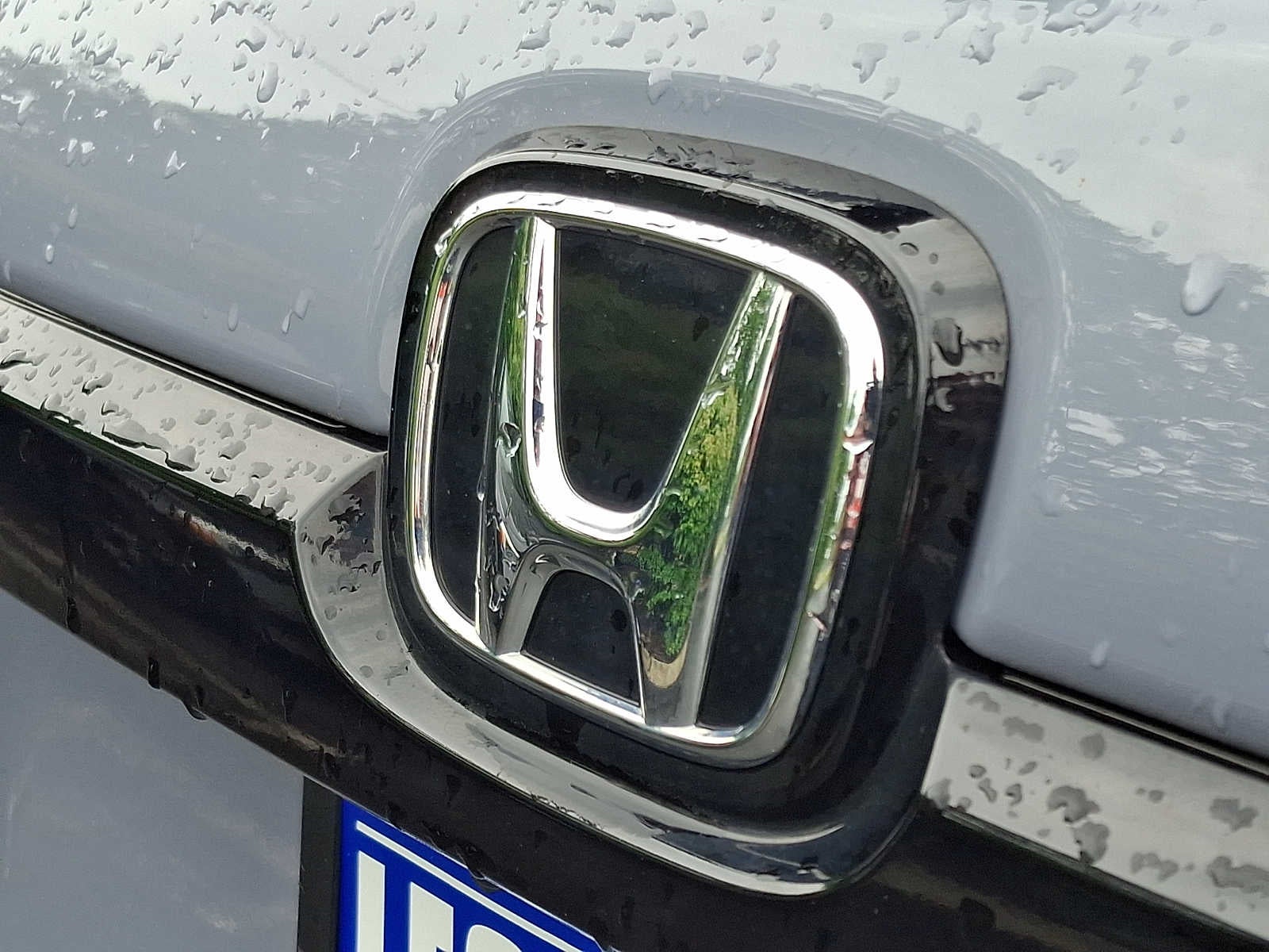 2025 Honda Passport Black Edition
