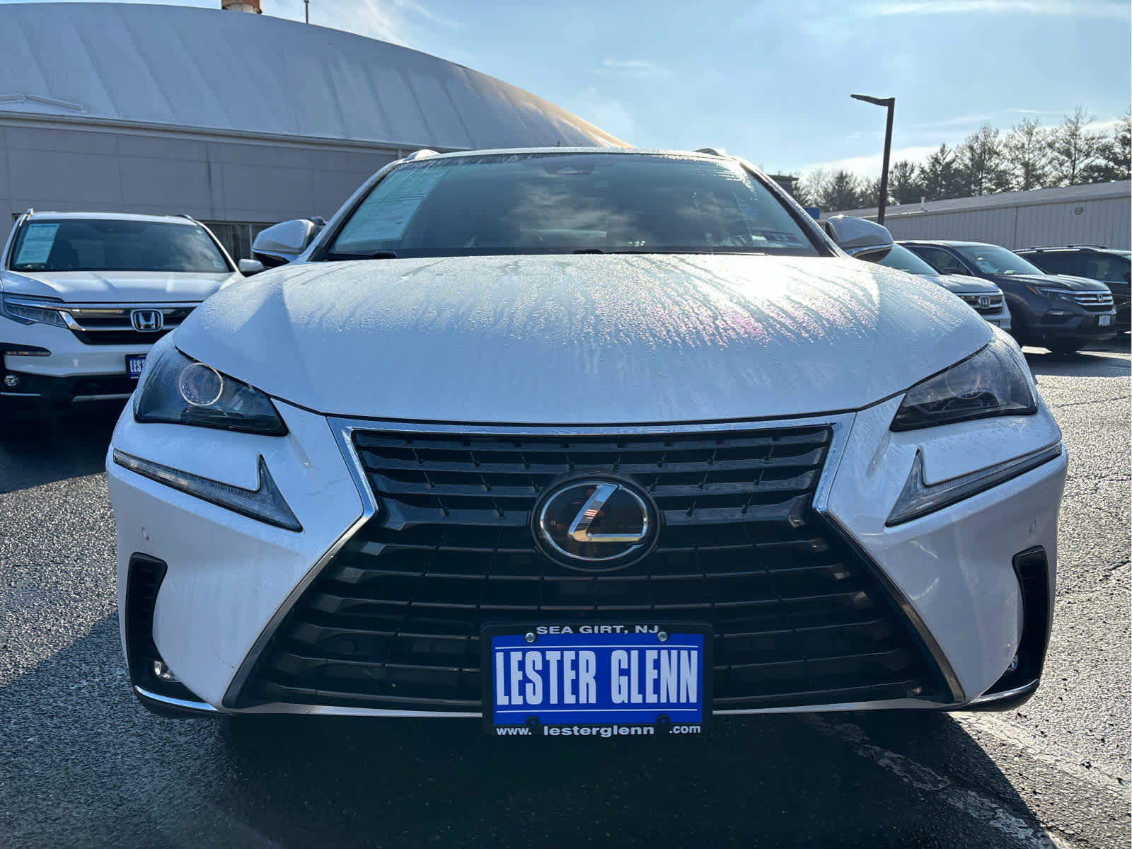 2019 Lexus NX NX 300