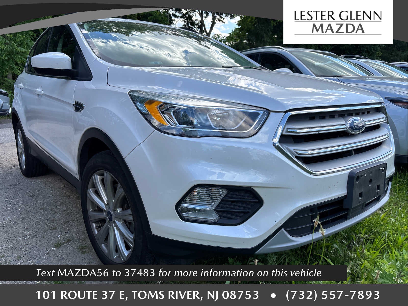 2019 Ford Escape SEL 4WD's photo