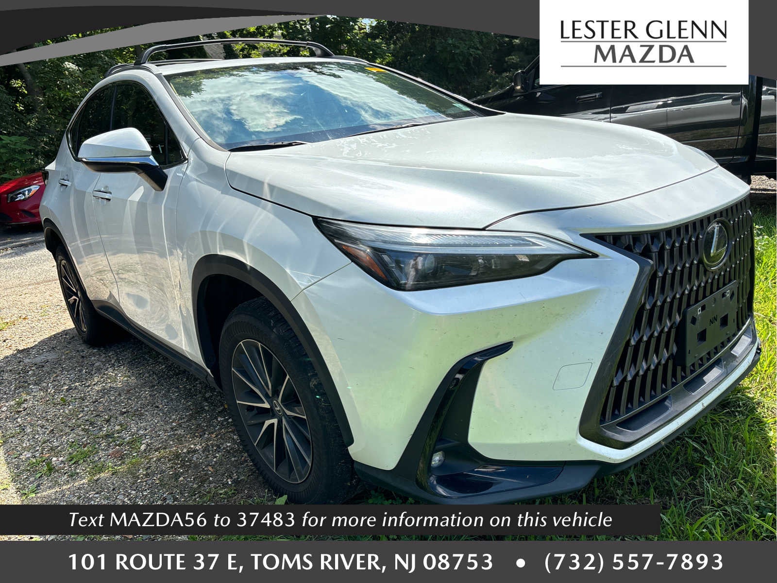 2024 Lexus NX 350 NX 350