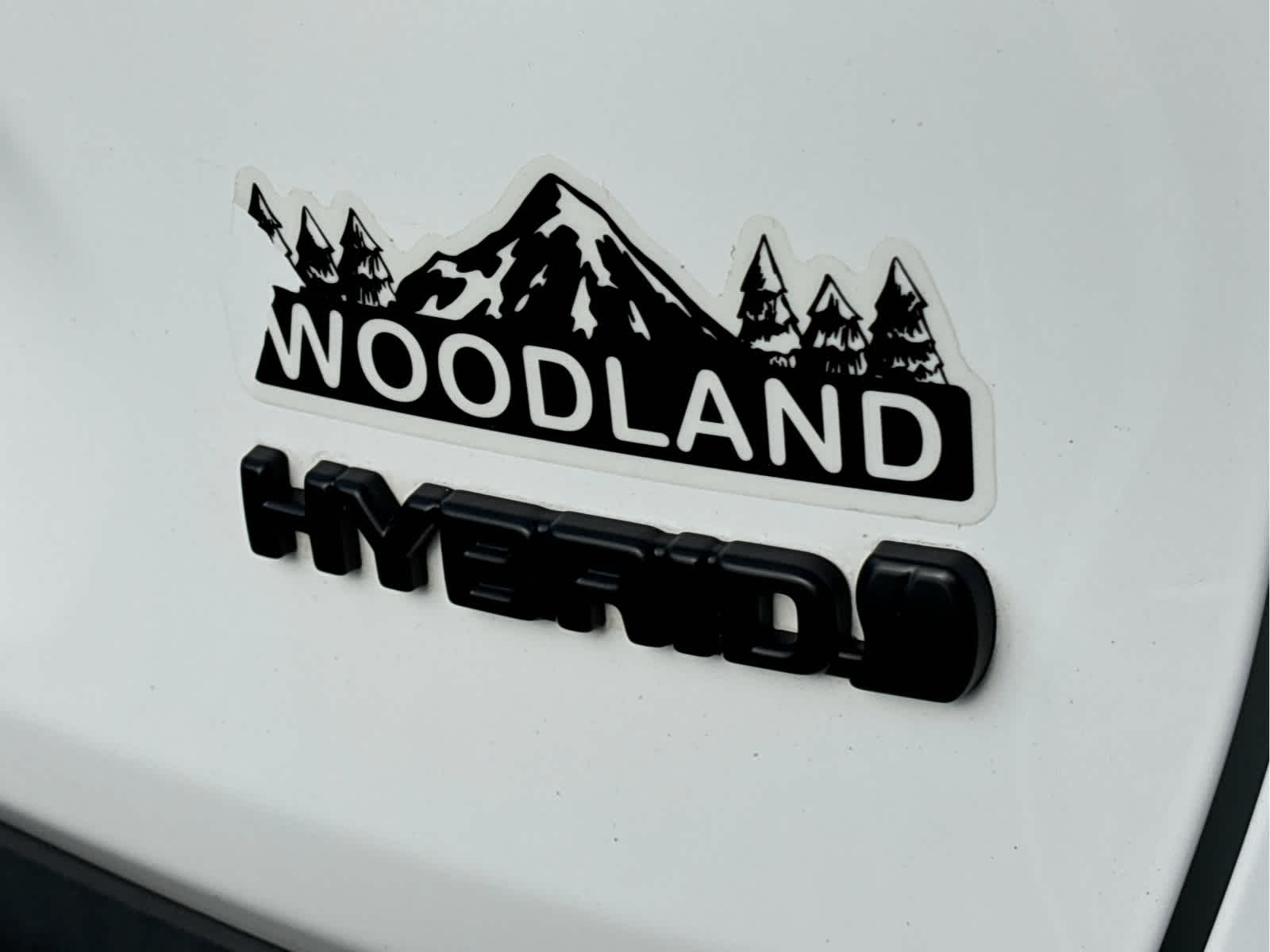 2023 Toyota RAV4 Hybrid Woodland