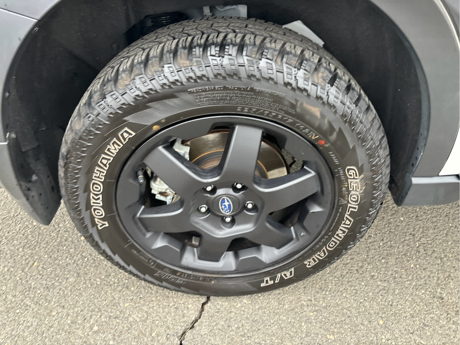 2024 Subaru Outback Wilderness