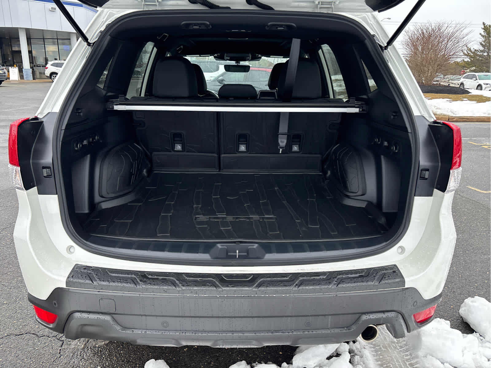 2025 Subaru Forester Wilderness