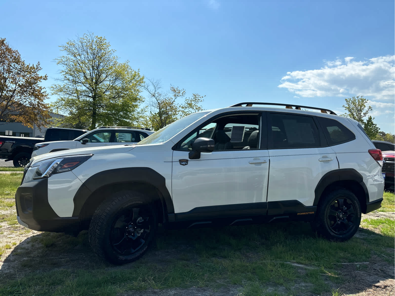 2025 Subaru Forester Wilderness