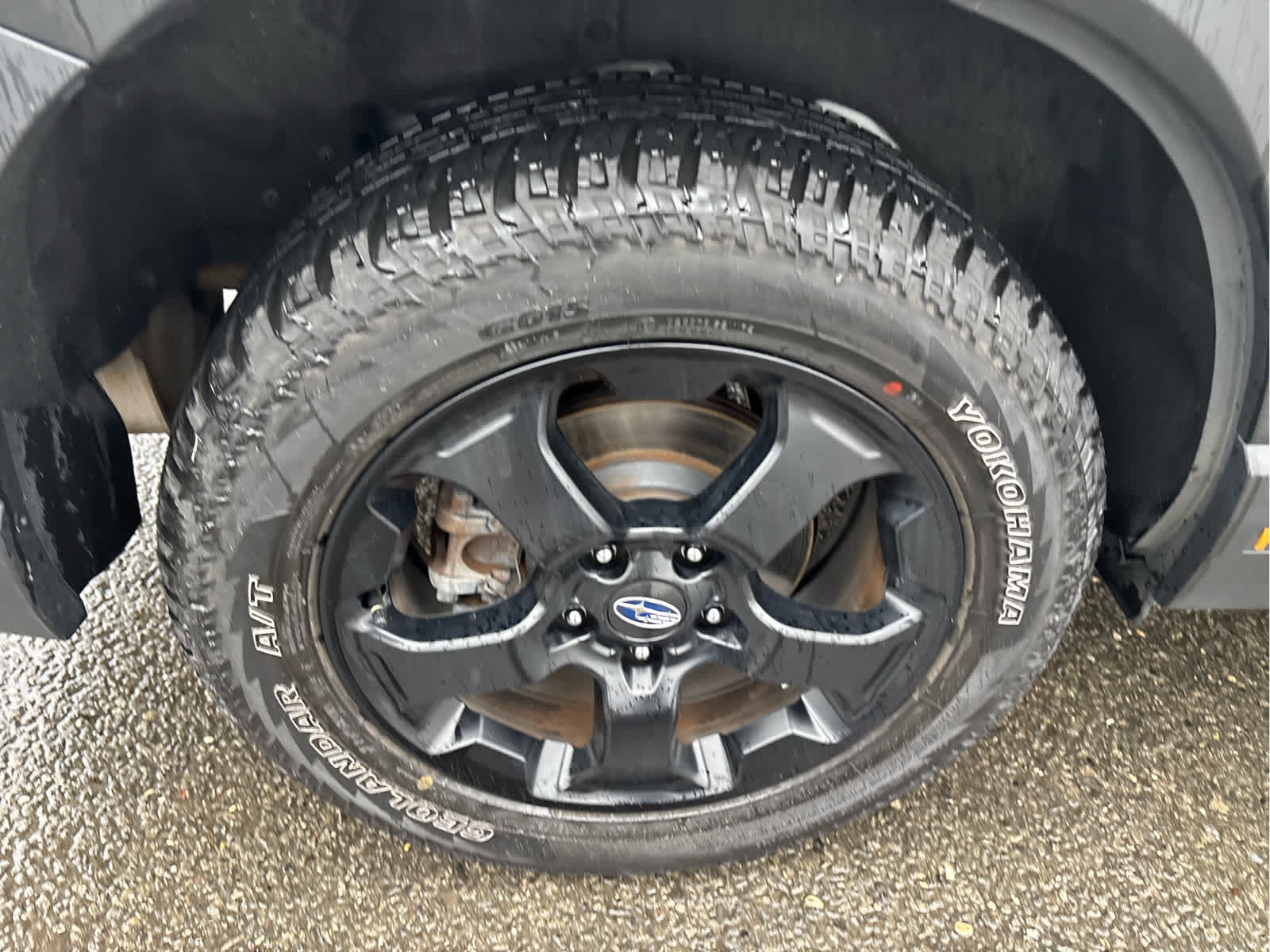 2023 Subaru Forester Wilderness