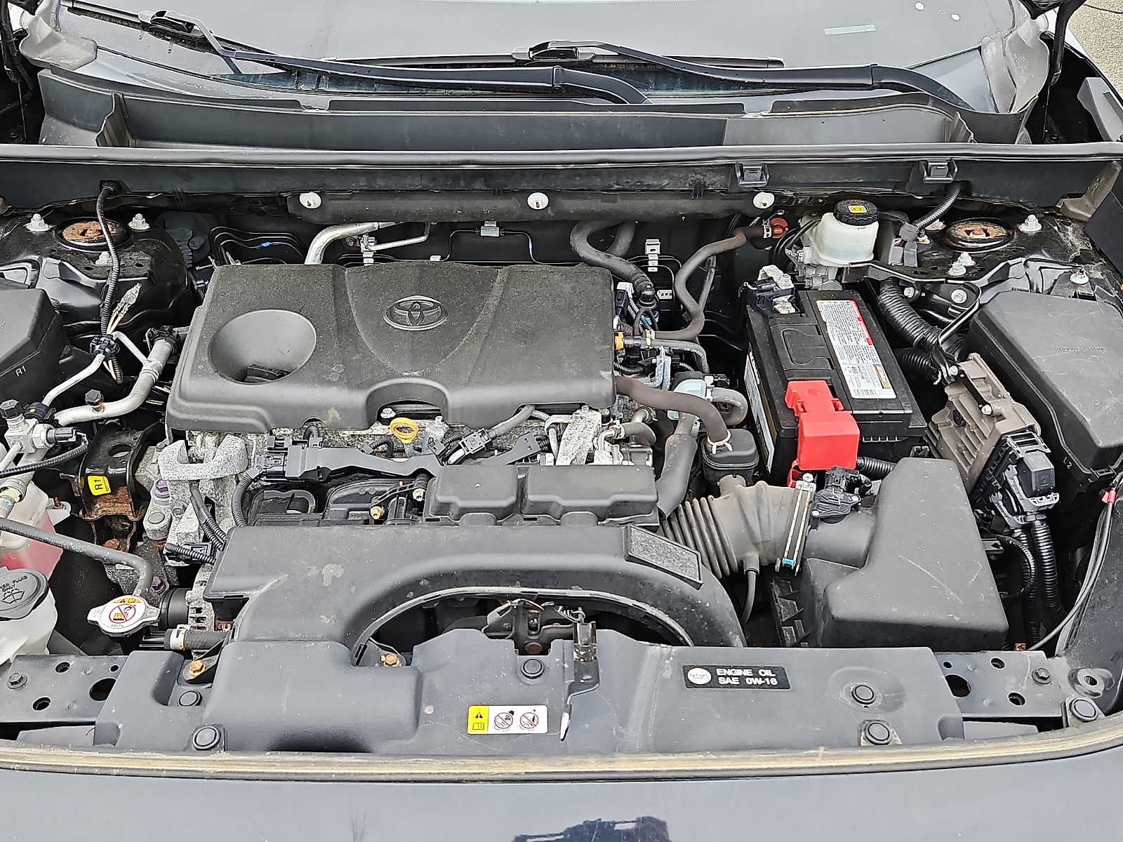 2020 Toyota RAV4 XLE