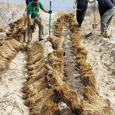 Grass getting cut on the beach